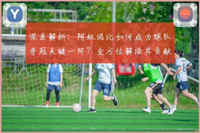深度解析：阿奴诺比如何成为球队夺冠关键一环？全方位解读其贡献与作用