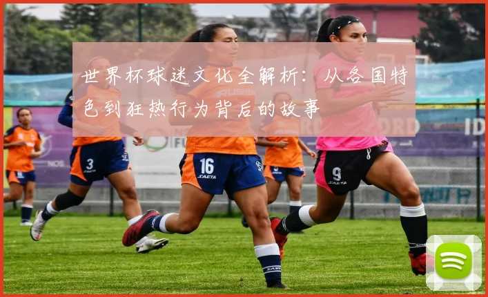 世界杯球迷文化全解析：从各国特色到狂热行为背后的故事